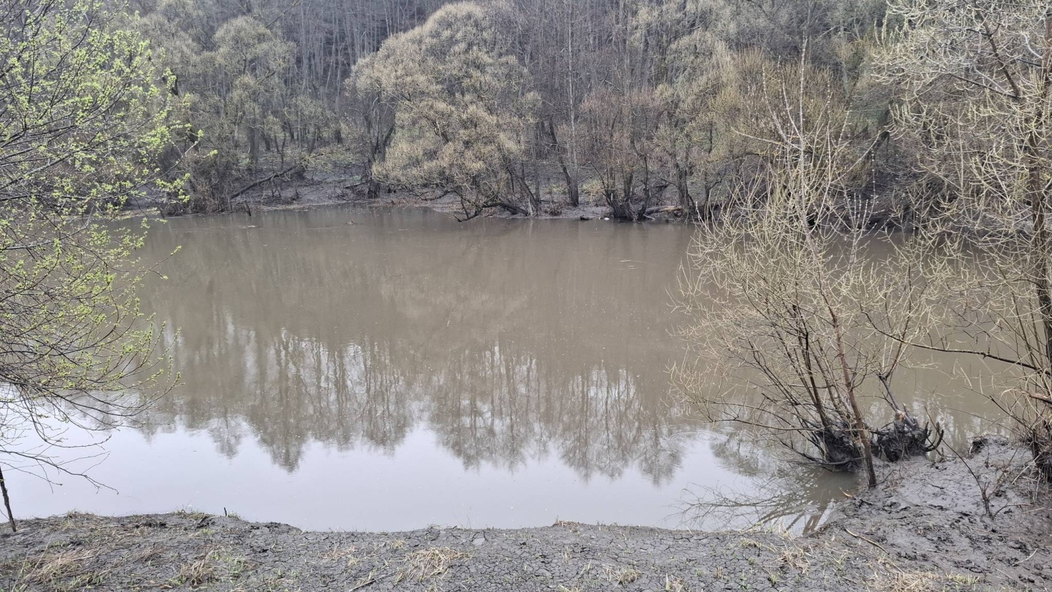Водолазы извлекли тело мужчины из водоема