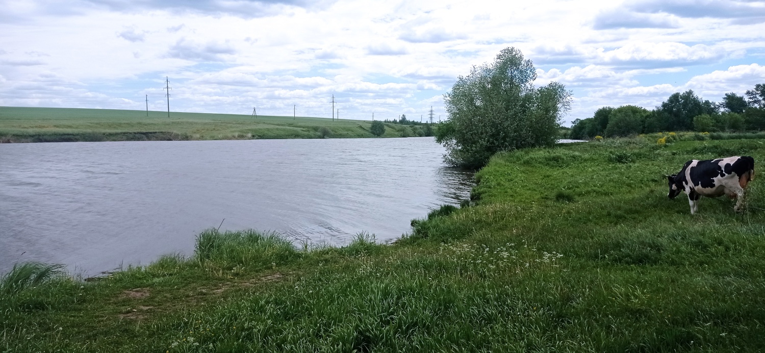 Водолазы провели обследование дна на пляже в Мокшанском районе