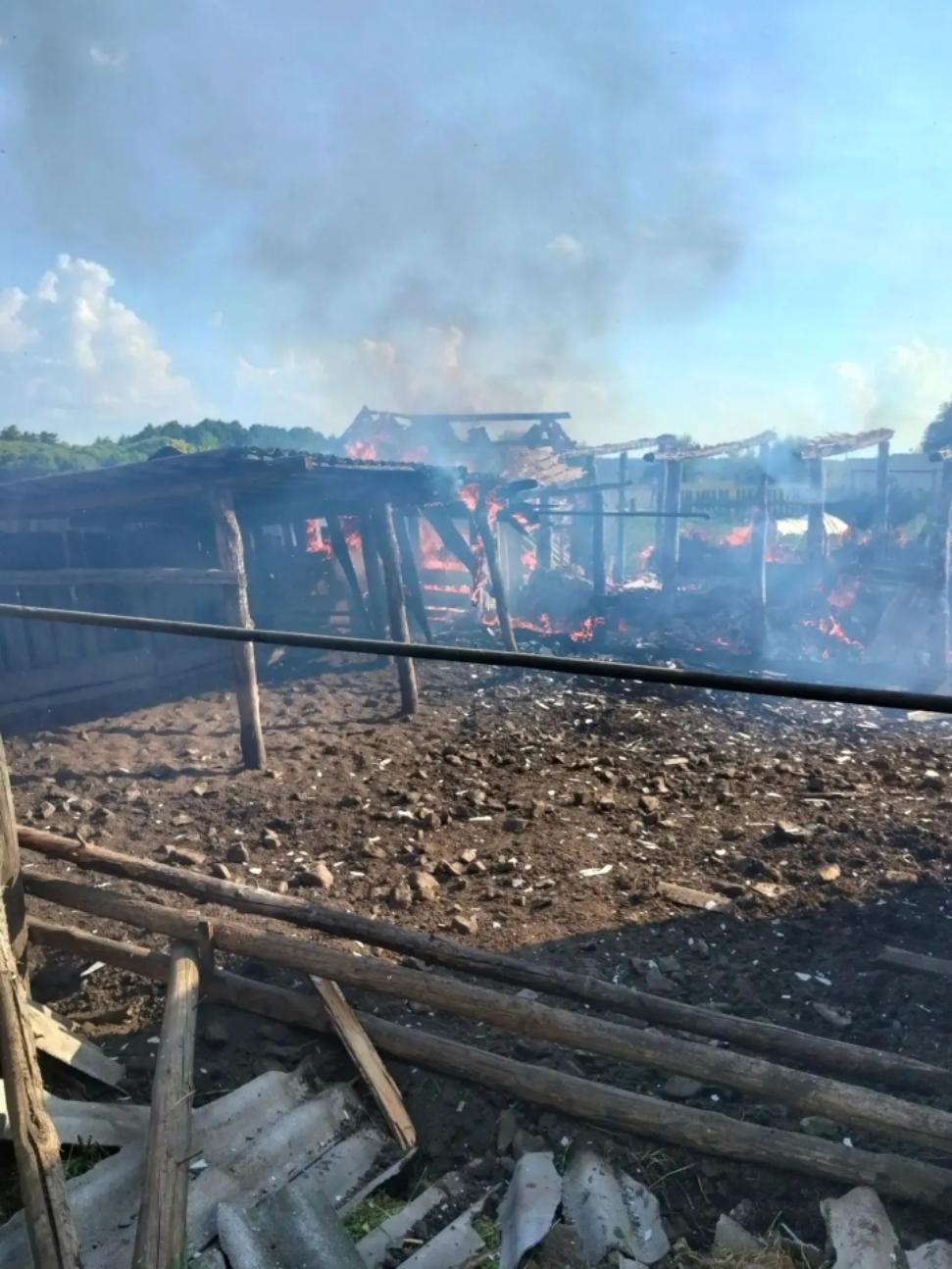 Пожарные ликвидировали возгорание в Никольске Пожарные ликвидировали возгорание в Никольске