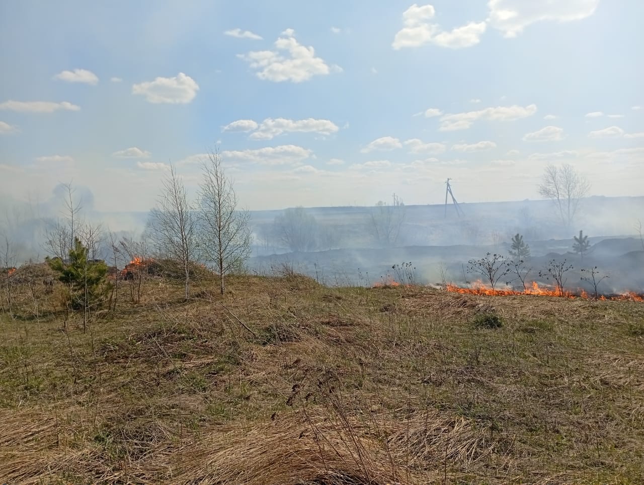 Пожарные ликвидировали возгорание сухой травы Пожарные ликвидировали возгорание сухой травы