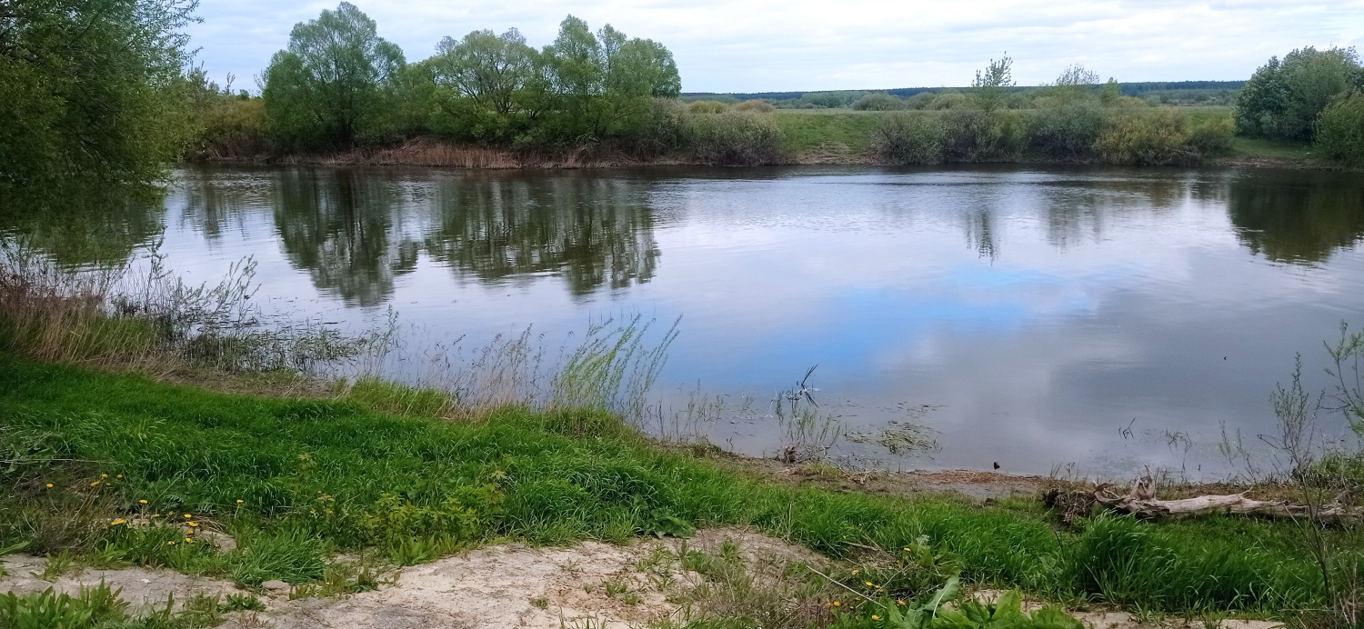 Водолазы провели обследование дна в водоеме Нижнеломовского района