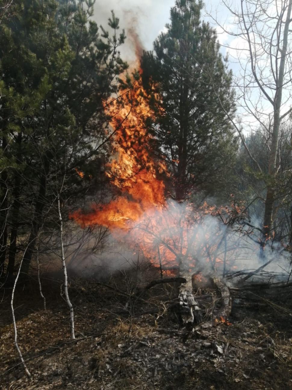 Пожарные ликвидировали возгорание сухой травы Пожарные ликвидировали возгорание сухой травы