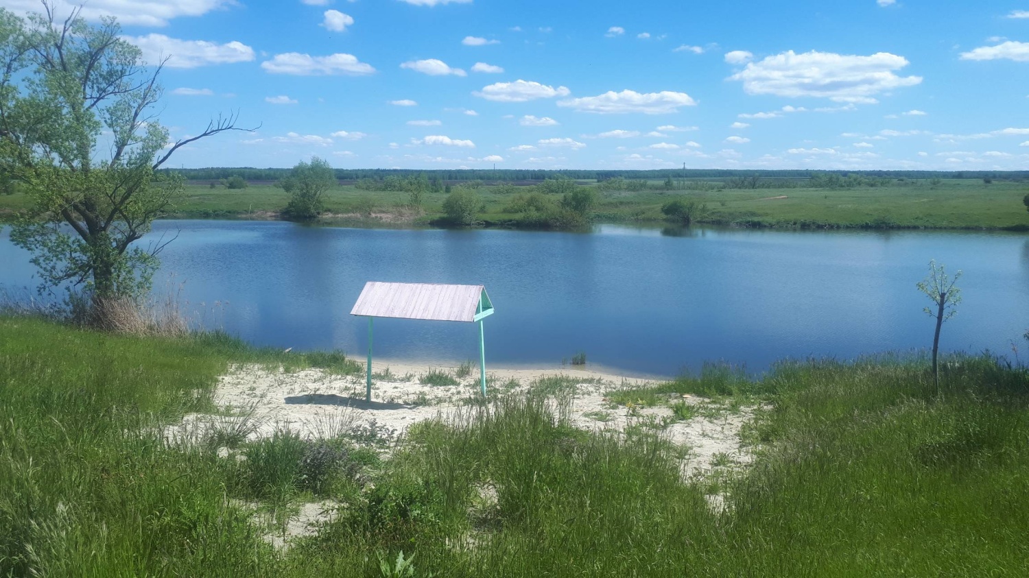 Водолазы провели обследование дна в водоемах Пензенской области Водолазы провели обследование дна в водоемах Пензенской области