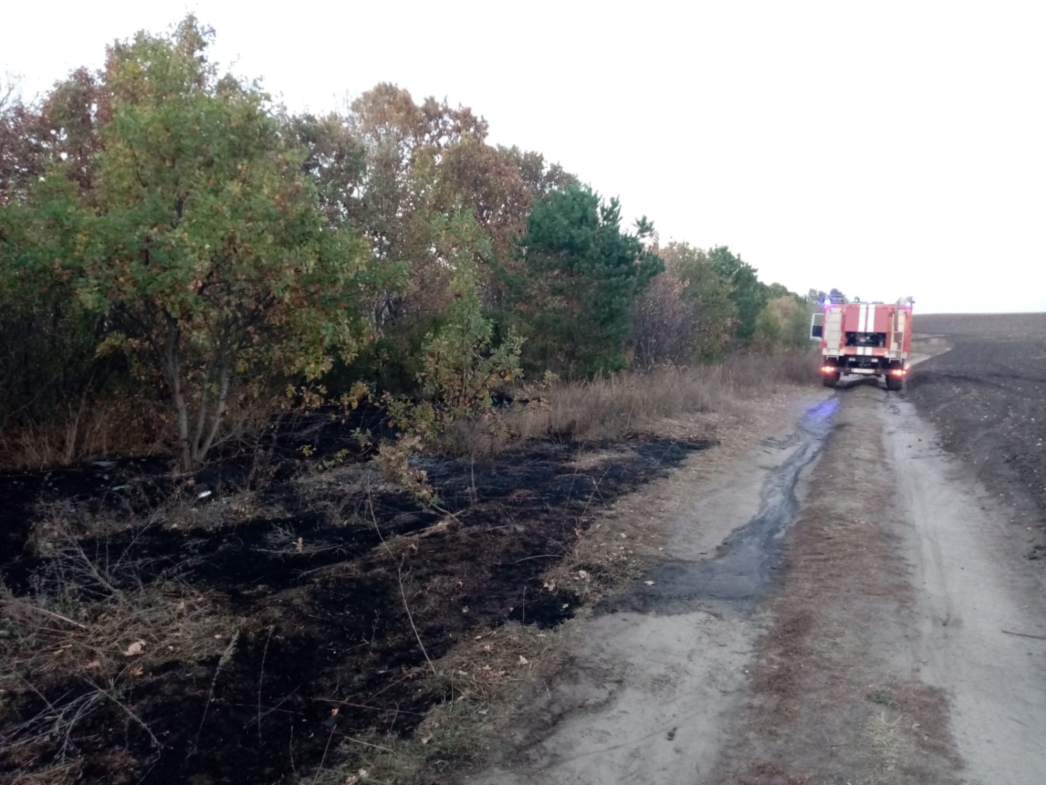 Пожарные ликвидировали возгорание сухой травы Пожарные ликвидировали возгорание сухой травы