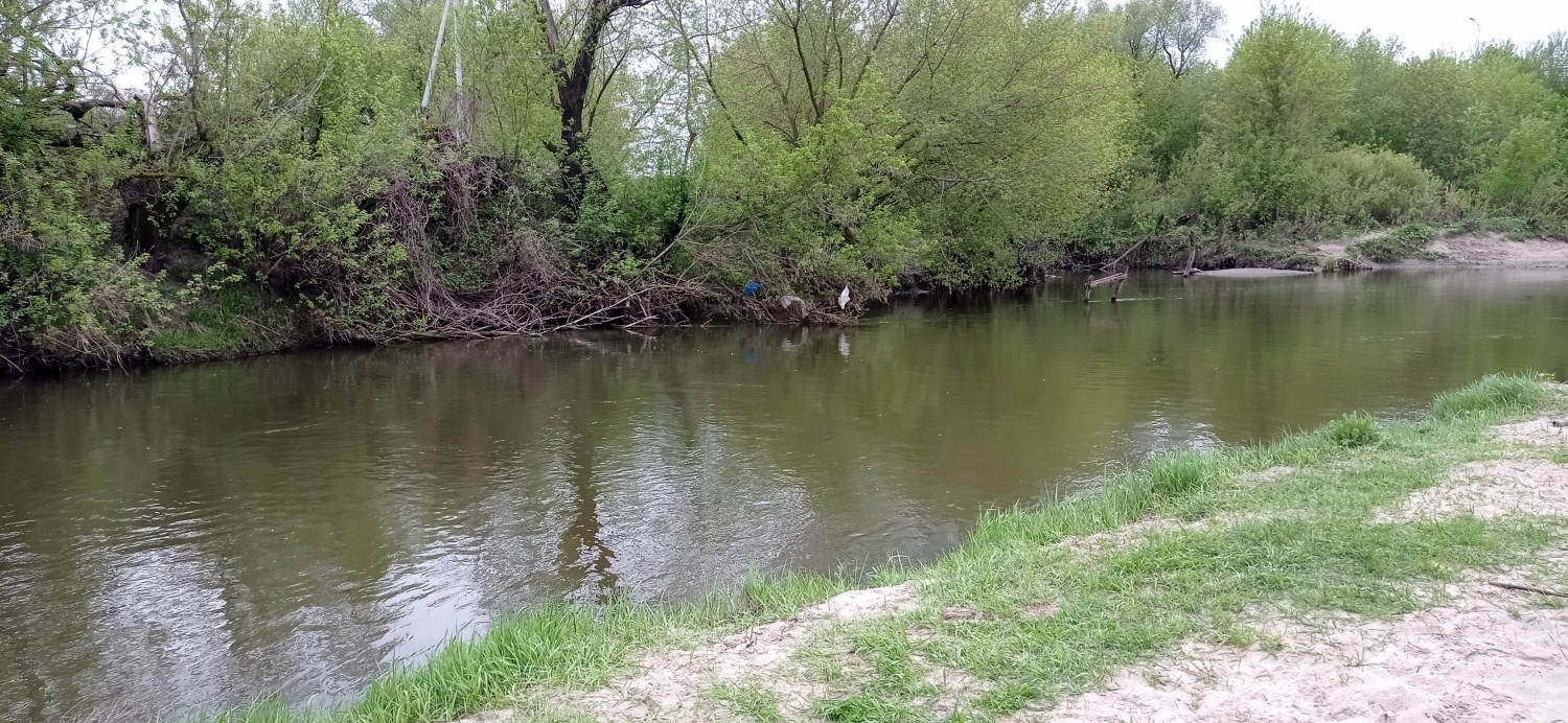 Началась подготовка водоемов Пензенской области к летнему купальному сезону 2021 года.