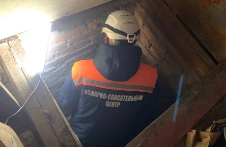 Спасатели извлекли женщину из погреба