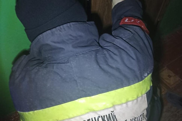 Пожарные помогли женщине получить медицинскую помощь Пожарные помогли женщине получить медицинскую помощь