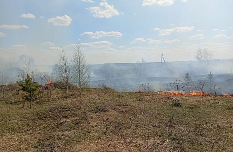 Пожарные ликвидировали возгорание сухой травы Пожарные ликвидировали возгорание сухой травы