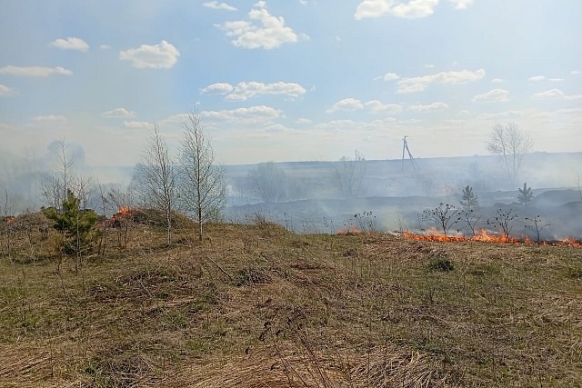 Пожарные ликвидировали возгорание сухой травы