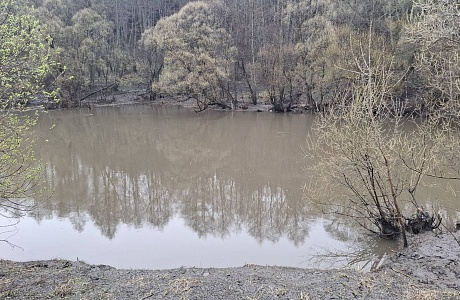 Водолазы извлекли тело мужчины из водоема Водолазы извлекли тело мужчины из водоема