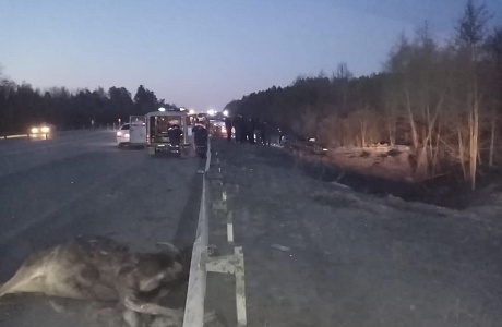 Пожарные ликвидировали последствия ДТП на трассе М5