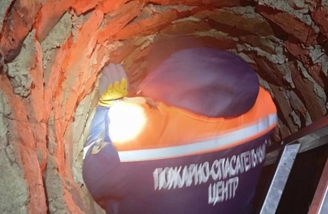 Пожарные извлекли собаку из колодца