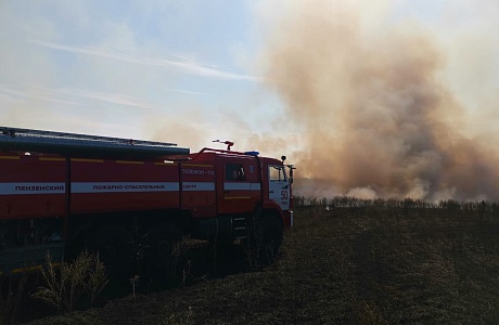 Пожарные ликвидировали возгорание сухой травы Пожарные ликвидировали возгорание сухой травы