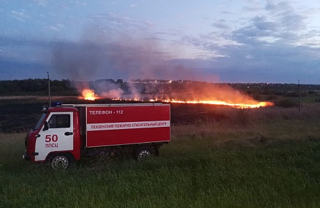 Пожарные ликвидировали возгорание сухой травы Пожарные ликвидировали возгорание сухой травы