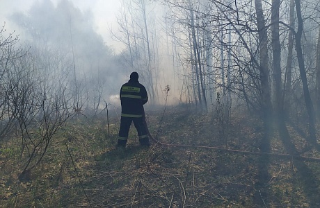 Пожарные ликвидировали возгорание сухой травы Пожарные ликвидировали возгорание сухой травы