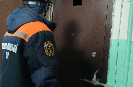 Спасатели обеспечили полиции доступ в квартиру