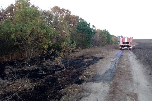 Пожарные ликвидировали возгорание сухой травы