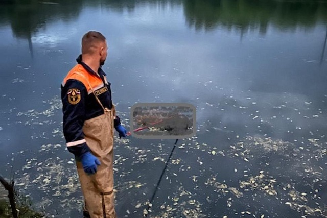 Спасатели извлекли из водоема тело мужчины Спасатели извлекли из водоема тело мужчины