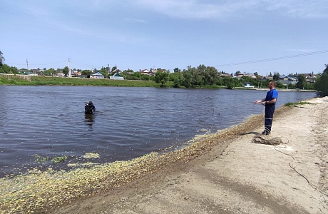 Водолазы провели обследование дна в водоемах Шемышейского района
